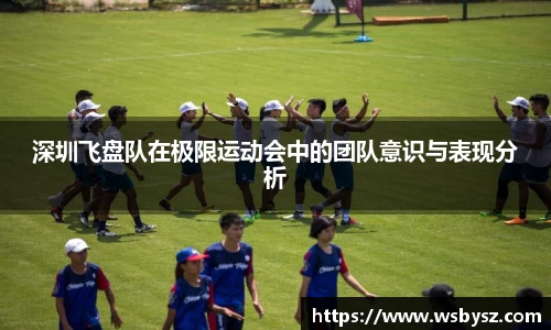 深圳飞盘队在极限运动会中的团队意识与表现分析